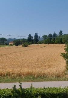 Cantalupo House | Appartamento Della Pia