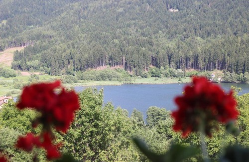 Baselga di Pine Apartment | appartamento Dossalt vista lago Serraia a 20 minuti da Trento, WI-FI e parcheggio gratuiti
