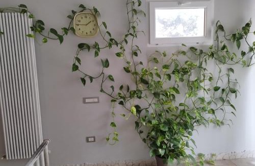 Pineta Apartment | Appartamento Fronte Mare con parcheggio privato