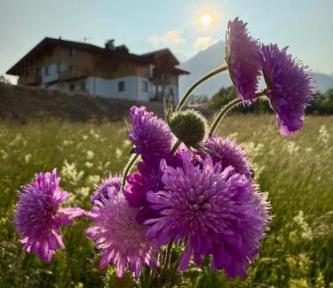 Andalo Apartment | Appartamento Genziana