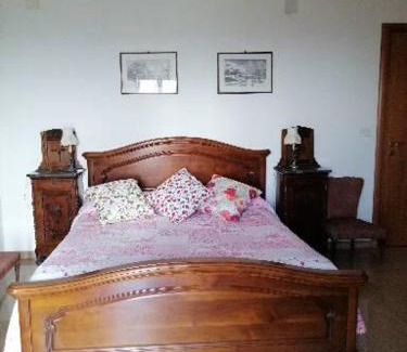 Dogliani House | Appartamento Il gatto