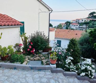 Seccheto Apartment | Appartamento il Giglio