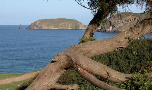 Arbus House | Appartamento in casa con cortili ad Arbus - Sardegna