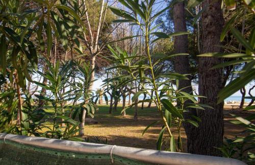 Villa Rosa Apartment | Appartamento La Pineta Sud - MyHo Casa