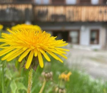 Granvilla Apartment | Appartamento Netta'Schtol
