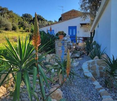 Acquedolci House | Appartamento Rosmarino