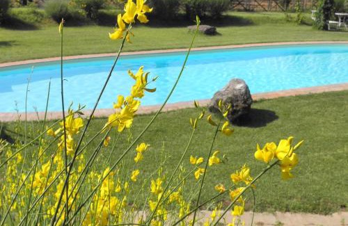 Monteleone d'Orvieto Apartment | Appartamento Rustico, Wifi, Perugia