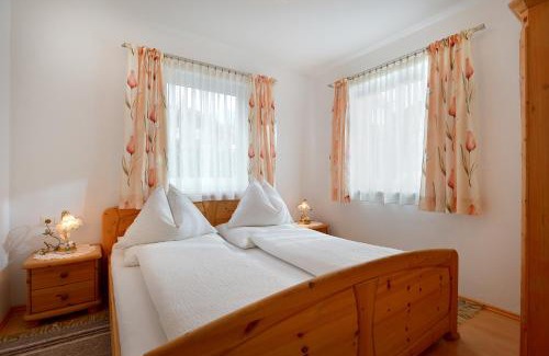 Scheffau am Wilden Kaiser Apartment | Appartement Horngacher