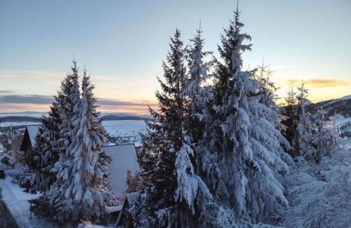 Besse-et-Saint-Anastaise Apartment | Appartement skis aux pieds, F2+Cabine au 20ème étage - FR-1-814-25