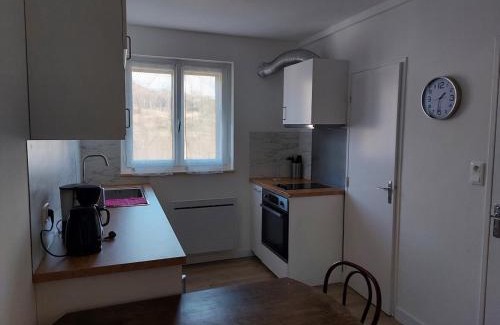 Besse-en-Chandesse Apartment | Appartement en plein cœur du Massif du Sancy