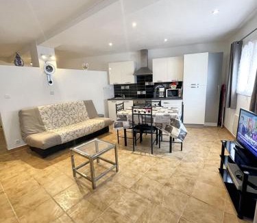 Prats-de-Mollo-la-Preste Apartment | Appartement confort avec vue montagne 35 m² idéal 3 pers