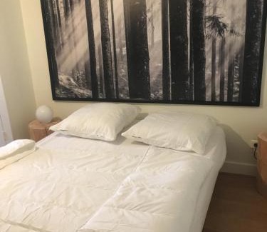 Besse-en-Chandesse Apartment | Appartement 6 à 8 pers au cœur du centre historique