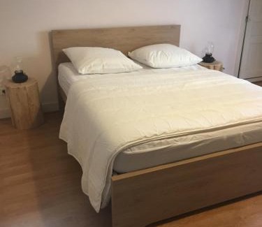 Besse-en-Chandesse Apartment | Appartement 6 à 8 pers au cœur du centre historique