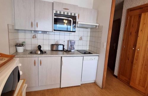 Saint-Michel-de-Chaillol Apartment | Appartement 4 pers, balcon sud, parking, wifi, animaux admis - FR-1-393-3