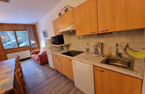 Saint-Michel-de-Chaillol Apartment | Appartement spacieux pour 10 pers, à 100m des pistes, Wifi gratuit, animaux admis - Saint-Michel-de-Chaillol - FR-1-393-42