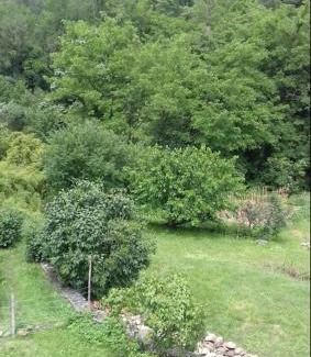 Le Martinet Apartment | Appartement 100m2 avec grand terrain