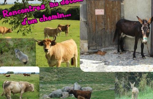 Tanavelle Apartment | appartement 1er étage dans maison individuelle