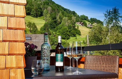 Mellau Apartment | Appartement 2 - Alpin Aparts