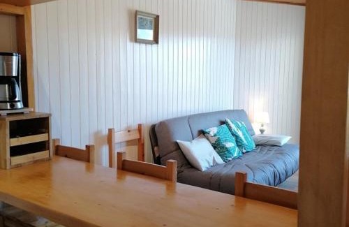 Cognet Apartment | Appartement 2 pièces 6 pers avec balcon, parking et animaux acceptés - L'Alpe d'Huez - FR-1-405-10