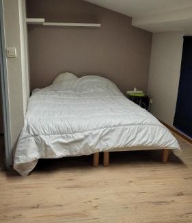 Le Puy-en-Velay Apartment | Appartement 3 chambres centre historique