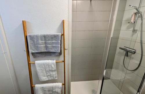 Luxeuil-les-Bains Apartment | Appartement accueillant au cœur de Luxeuil-les-Bains proche thermes - FR-1-583-510