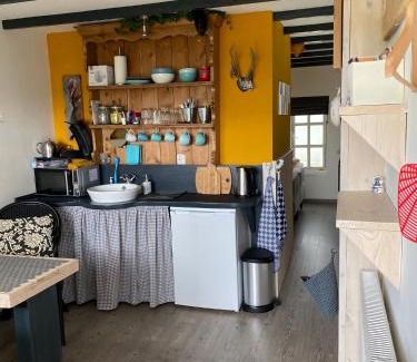 Vogelenzang House | Appartement Bos en Duin