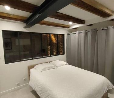 Capitole Apartment | Appartement Capitole hypercentre