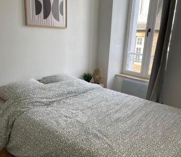 Montaubert - Rille - Saint-Sulpice Apartment | Appartement centre ville historique