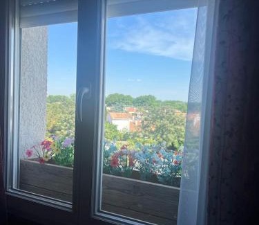Baillargues Apartment | Appartement Cocooning et Romantique
