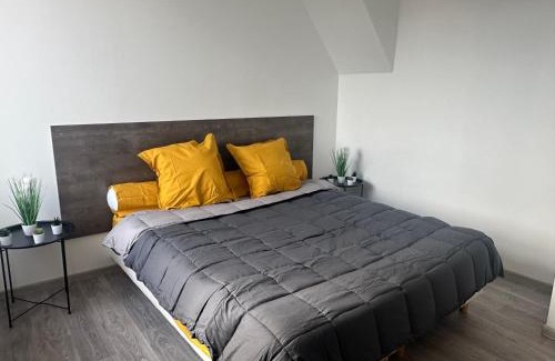 Andrezieux-Boutheon Apartment | Appartement confortable Andrezieux Boutheon