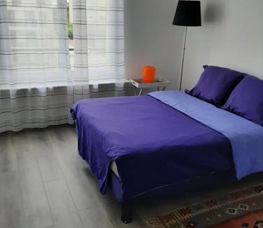 Charenton-le-Pont Apartment | Appartement cosy de centre ville