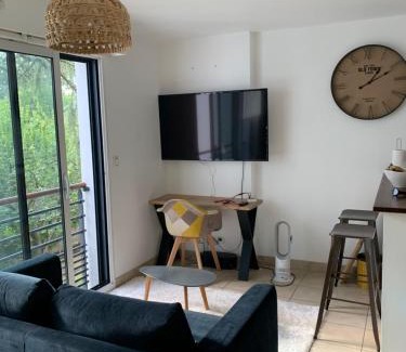 Coulmiers-Jardin des Plantes Apartment | Appartement cosy jardin des plantes avec parking
