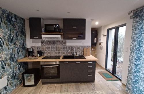Cierzac Apartment | Appartement dans les vignobles