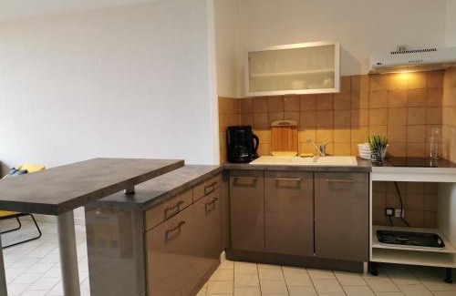 Auch Apartment | Appartement de charme, au cœur d'Auch, 4 pers