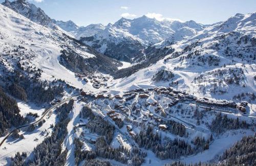 Meribel-Mottaret Apartment | Appartement ensoleillé avec TV, proche pistes et commerces, Résidence Plein Soleil, Les Allues - FR-1-182-18