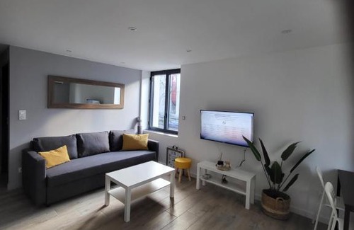 Centre Deux Apartment | Appartement entièrement rénové à neuf 101