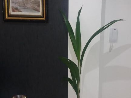 Espinho Apartment | Appartement Espinho