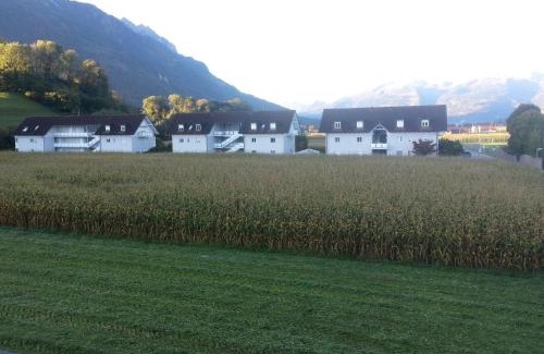 Toster Apartment | Appartement Feldkirch