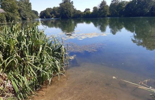 Bazouges-sur-le-Loir Apartment | appartement a l'étage d'une maison avec entrée commune comprenant une chambre avec un grand lit , une d'enfant et un clic-clac dans la piece de vie