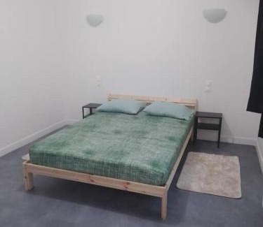 Perignat-les-Sarlieve Apartment | appartement 2 T2 neuf et élégant proche zénith