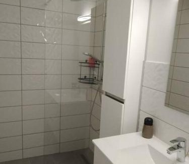 Perignat-les-Sarlieve Apartment | appartement 2 T2 neuf et élégant proche zénith