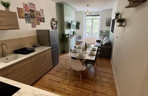 Saint-Etienne Apartment | Appartement LE Grüner Gare-centre Ville