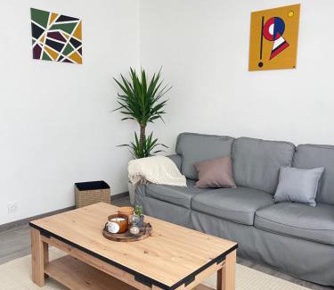 Montauban Apartment | Appartement lumineux et traversant