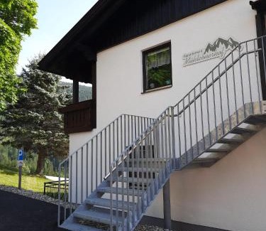 Ramsau am Dachstein Apartment | Appartement Mühlebnerhof