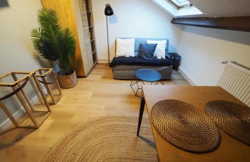 Gien Apartment | Appartement meublé 5 - 15 min Dampierre - 25 min Belleville - WIFI