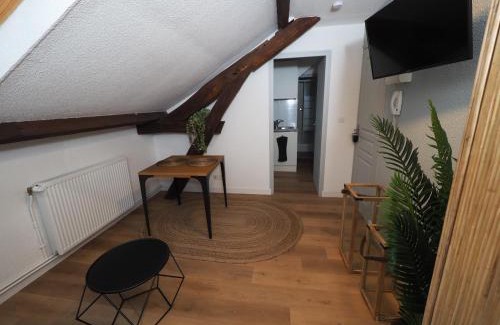 Gien Apartment | Appartement meublé 5 - 15 min Dampierre - 25 min Belleville - WIFI