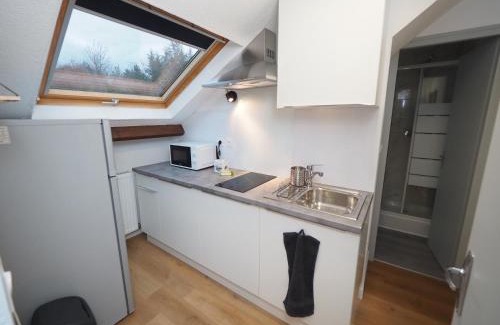 Gien Apartment | Appartement meublé 5 - 15 min Dampierre - 25 min Belleville - WIFI