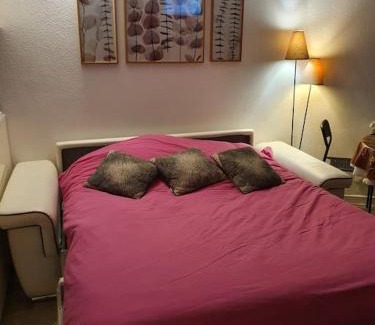Pla d'Adet Apartment | Appartement pla d'adet aux pieds des pistes