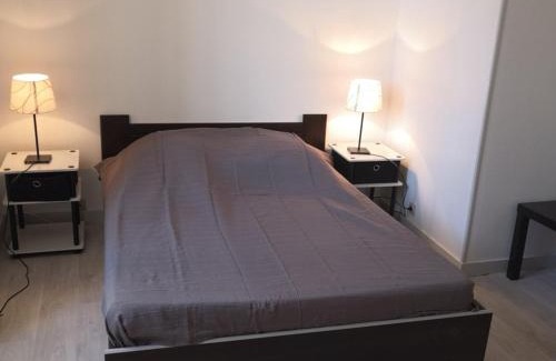 La Roche-Posay Apartment | Appartement rénové avec Wifi et animaux admis à La Roche-Posay - FR-1-541-129