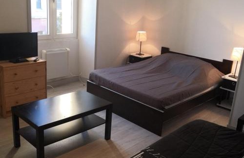 La Roche-Posay Apartment | Appartement rénové avec Wifi et animaux admis à La Roche-Posay - FR-1-541-129